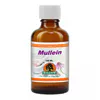 Willow Mullein Tincture 100ml